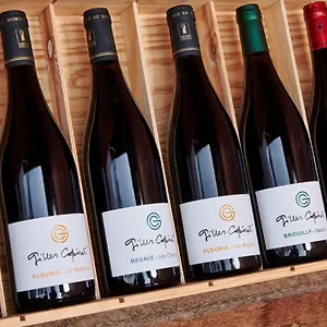 Les Glycines - Domaine Gilles Coperet , Régnié France